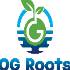 OG Roots- Organic Vegetables in Gurgaon